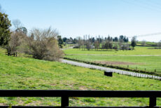 cherry tree rise tokoroa accommodation